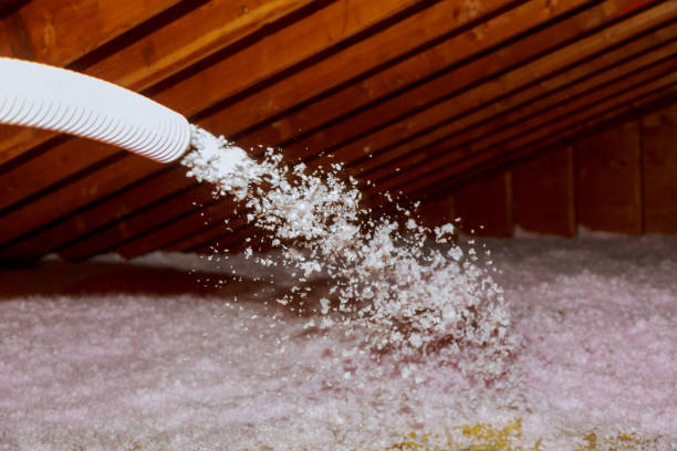 Best Insulation Maintenance and Repair in Perry, GA