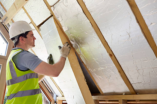 Best Residential Insulation in Perry, GA